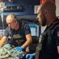 Поранення, спричинені ударами FPV-дронів,  залишаються одними з найпоширеніших